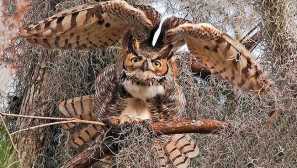 Петна или петна, за да се притеснява